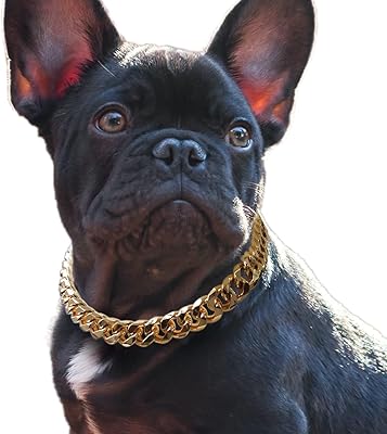 Collier pour chien à maillons cubains - collier à chaîne en or clair