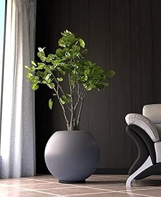 Pots à billes gris foncé pour usage intérieur et extérieur/fibre de verre/pots de plantes avec trous de drainage/cultiver des arbres à fleurs/plateau inclus (taille s). Diaytar Côte d'Ivoire est la boutique en ligne la plus populaire de Côte d'Ivoire, avec une offre de produits très variés et des prix compétitifs. Les clients peuvent trouver des produits pour tous les âges et tous les goûts, avec des livraisons rapides et fiables. Diaytar Côte d'Ivoire est votre partenaire idéal pour vos achats en ligne en Côte d'Ivoire.