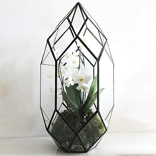 Fairysland grand pot en verre irrégulier géométrique de 10 pouces fait à la main pour plantes à air intérieur, fenêtre, balcon, pot de fleurs succulentes, noir. La boutique en ligne DIAYTAR COTE D'IVOIRE se distingue par sa large gamme de produits et son engagement à offrir des services de qualité supérieure. Elle propose une expérience d'achat aisée et sécurisée, avec des options de paiement flexibles et des livraisons rapides. Cela fait d'elle la destination préférée pour les consommateurs ivoiriens.