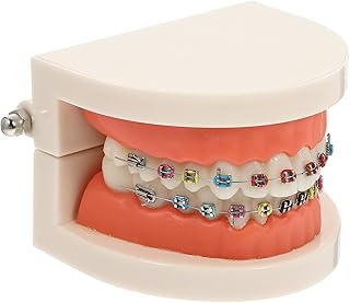 Modèle de formation de suture buccale saine, modèle d'enseignement médical, tipont dentaire