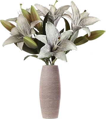 Fleurs de lys artificielles ibobo 5 pièces, fleurs de lys vert gris antique, fleurs en soie pour décoration intérieure de la maison, fleurs de lys tigre, arrangement floral, décoration de fête de mariage, décoration de maison (gris vert). DIAYTAR COTE D'IVOIRE est une boutique en ligne généraliste qui propose plus de 300 000 références de produits. Elle est la boutique leader en Côte d'Ivoire, offrant une grande variété de produits pour répondre aux besoins de tous. Elle garantit une expérience d'achat en ligne sûre et sécurisée.