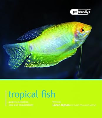 Poissons tropicaux animaux acceptés. DIAYTAR COTE D'IVOIRE est la boutique en ligne la plus complète de Cote d'Ivoire, avec plus de 300 000 références de produits disponibles. Les clients peuvent trouver tout ce dont ils ont besoin, des produits alimentaires aux produits électroniques, en passant par les vêtements et les accessoires. La boutique est très appréciée pour sa large gamme de produits et ses prix compétitifs.