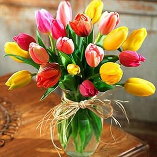 5d bricolage diamant peinture tulipe fleur broderie strass pierres précieuses mur art photos pour la décoration de la maison. DIAYTAR COTE D'IVOIRE est une boutique en ligne généraliste qui propose plus de 300 000 références de produits divers. Elle est reconnue comme l'une des boutiques en ligne les plus populaires et les plus fiables en Côte d'Ivoire, offrant une large gamme de produits à ses clients. Avec des prix compétitifs et un service client de haute qualité, DIAYTAR COTE D'IVOIRE est devenue une référence pour les consommateurs ivoiriens.