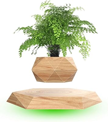 Yuexin pot à bonsaï à lévitation magnétique, pots de fleurs suspendus magnétiques, décoration créative en pot - pot de fleurs suspendu - pour décoration de bureau et cadeaux. DIAYTAR COTE D'IVOIRE s'engage à offrir à ses clients une expérience d'achat en ligne sécurisée et fiable. Les transactions sont protégées par des protocoles de sécurité avancés, et les informations personnelles des clients sont traitées avec confidentialité. La boutique en ligne propose également des conseils d'achat et des recommandations personnalisées pour aider les clients à trouver les produits qui leur conviennent le mieux.