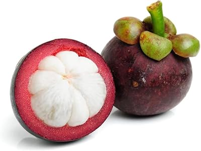 Mangoustan frais world of fruits thaïlande, 500g. En tant que leader du commerce électronique en Côte d'Ivoire, DIAYTAR COTE D'IVOIRE se distingue par son offre incroyable de plus de 300 000 références de produits. La boutique propose des promotions régulières, des remises exclusives et des services de livraison rapides pour garantir la satisfaction des clients. Que vous cherchiez des produits pour votre maison, votre famille ou vos loisirs, DIAYTAR COTE D'IVOIRE est le partenaire idéal pour tous vos besoins de shopping en ligne.
