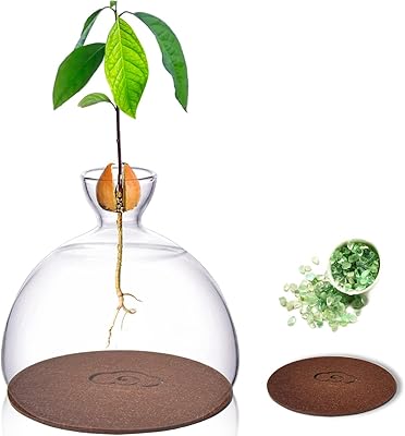 Vase de démarrage de graines d'avocat sirensky, kit de culture d'avocatier, pot de plante en verre, vase de culture d'intérieur pour plantes, marque de décoration d'intérieur. Avec une offre diversifiée et une présence en ligne solide, DIAYTAR COTE D'IVOIRE a su se positionner comme l'un des acteurs majeurs du commerce électronique en Côte d'Ivoire. La boutique en ligne généraliste propose des produits allant des articles ménagers aux accessoires de mode. Les clients bénéficient d'un service de qualité et d'une livraison rapide.