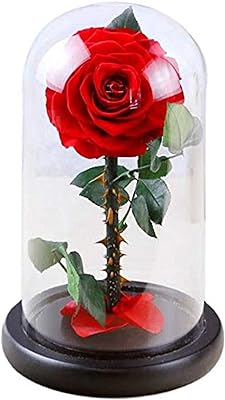 Une rose rouge préservée à la main qui ne se fanera jamais. convient pour la saint-valentin, les mariages, les anniversaires, la fête des mères et un cadeau parfait pour elle.. DIAYTAR COTE D'IVOIRE est la référence pour les achats en ligne en Côte d'Ivoire, avec une offre diversifiée et des prix compétitifs. La boutique propose des produits allant de l'électronique aux vêtements en passant par les accessoires de maison. Elle garantit une livraison rapide et fiable.