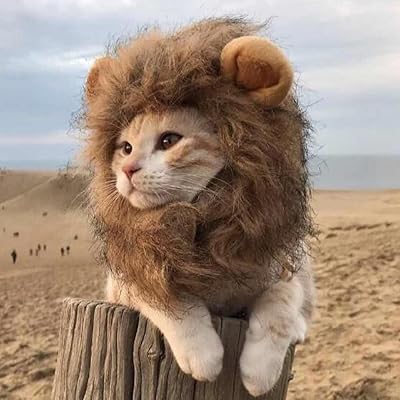 Perruques de chat avec oreilles de lion - costume de lion pour chatons et chatons, parfait pour halloween, anniversaire de chat, cosplay, vêtements pour chat de compagnie - convient aux tailles de cou inférieures à 33 cm. La boutique en ligne DIAYTAR COTE D'IVOIRE propose une approche personnalisée pour s'adapter aux besoins divers de sa clientèle. Nous comprenons l'importance de la confiance et de la sécurité dans les transactions en ligne, c'est pourquoi nous mettons en place des mesures de sécurité avancées pour protéger les informations de nos clients. Notre priorité est de créer une communauté de clients satisfaits et fidèles.