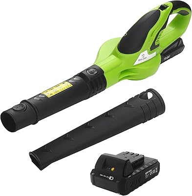 Souffleur de feuilles sans fil avec batterie et chargeur, souffleur de feuilles électrique