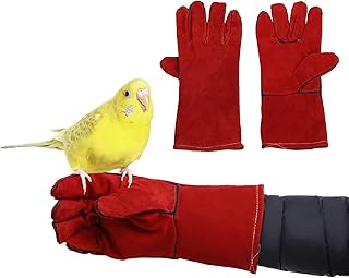Gants de protection vitang en peau de vache pour entraîner les oiseaux à mâcher, anti-rayures et anti-morsures pour perruches, calopsittes, conures, tourtereaux, perroquets, pinsons, aras, perruches africaines et perruches. DIAYTAR COTE D'IVOIRE est une boutique en ligne généraliste qui propose plus de 300 000 références de produits, faisant d'elle la boutique leader en Côte d'Ivoire. Elle offre une large gamme de produits allant de l'électronique à la mode, en passant par les produits alimentaires. Les clients peuvent profiter de la livraison à domicile ou de la possibilité de retirer leurs commandes en magasin.