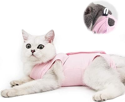 Combinaison de récupération professionnelle pour chats suite à des plaies abdominales