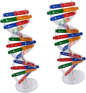 Toddomey deux ensembles de jouets pour enfants adn, jouet double science, composants éducatifs