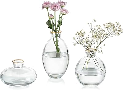 Vase en verre avec bord doré, 3 pièces/ensemble, mini vases à fleurs décoratifs modernes, pièce maîtresse pour la maison, le bureau, un mariage, un événement, une décoration de table (transparent avec bord doré). DIAYTAR COTE D'IVOIRE est une boutique en ligne généraliste proposant plus de 300 000 références de produits variés, faisant d'elle l'une des boutiques en ligne les plus complètes de Côte d'Ivoire. Avec une gamme de produits allant des électroniques aux articles de maison, DIAYTAR COTE D'IVOIRE est le point de départ idéal pour toutes vos achats en ligne. Elle offre une expérience d'achat pratique et sécurisée.