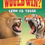 Qui gagnerait ? lion contre tigre