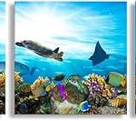 Art mural en 3 pièces avec vue sur le fond de l'océan, tortue