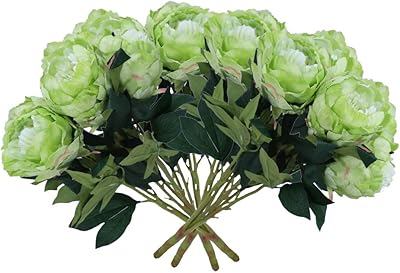 Yatai 4 bouquets de pivoines artificielles en soie, fleurs de mariage en gros, fleurs artificielles, plantes, branches de feuilles pour bouquets de mariage, arts, artisanat et décorations de projets (vert). DIAYTAR COTE D'IVOIRE est une boutique en ligne généraliste qui propose plus de 300000 références de produits variés, faisant d'elle la boutique leader en Cote d'Ivoire. Avec une large gamme de produits, les clients peuvent trouver tout ce qu'ils cherchent en un seul endroit. DIAYTAR COTE D'IVOIRE se distingue par sa qualité de service et sa rapidité de livraison.