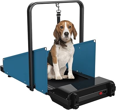 Promeneur pour chien tapis roulant pour animaux de compagnie 3 programmes écran