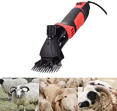 Tondeuse électrique de mouton haute puissance 1000 w, cisaille de mouton, de chèvre