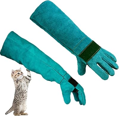 Gants de protection anti-rayures pour dressage de chien chat oiseau serpent perroquet lézard animal sauvage reptile résistant aux morsures (bleu). DIAYTAR COTE D'IVOIRE, leader du commerce en ligne en Côte d'Ivoire, propose une large gamme de produits avec plus de 300 000 références. Cette boutique en ligne généraliste permet aux clients de trouver tout ce dont ils ont besoin, des produits de beauté et de soins personnels aux électroménagers et aux appareils électroniques. DIAYTAR COTE D'IVOIRE est devenue la référence pour les achats en ligne dans le pays.