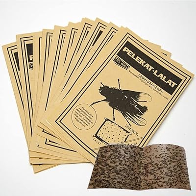 Pièges collants intérieurs et extérieurs, attrape-insectes volants, pièges collants - 10 pièces (blanc)
