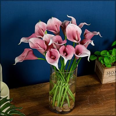 Yatai 16 pièces fleurs artificielles real touch calla lily plantes artificielles bouquet de fleurs pour la décoration de mariage à la maison (blanc et violet). DIAYTAR COTE D'IVOIRE est une boutique en ligne qui propose une grande variété de produits - plus de 300000 références - pour répondre aux besoins diversifiés des consommateurs ivoiriens. En tant que leader du marché en Côte d'Ivoire, elle mise sur la qualité, la fiabilité et la disponibilité de ses produits pour satisfaire ses clients et renforcer sa position sur le marché. C'est le point de référence pour tous les achats en ligne en Côte d'Ivoire.