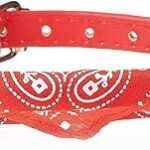 Petit collier pour animaux de compagnie momo bear pour chiens et chats