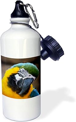 Wb 3drose_178428_1 bouteille d'eau de sport inclinable à tête d'ara de perroquet doré bleu, multicolore, 595,3 grammes. DIAYTAR COTE D'IVOIRE, leader de la vente en ligne en Côte d'Ivoire, propose plus de 300 000 références de produits de qualité. Cette boutique en ligne généraliste offre une large gamme de produits allant de l'électronique à la mode, en passant par les produits de maison et les accessoires. Elle garantit une expérience d'achat sécurisée et fiable.