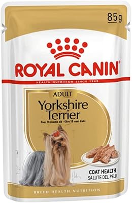 Royal canin bhn yorkshire adulte sachets de nourriture humide paquet de 12 x 85 g de nourriture pour chiens de race saine. La boutique en ligne DIAYTAR COTE D'IVOIRE se positionne comme un partenaire de confiance pour les consommateurs ivoiriens, leur offrant une plateforme unique pour réaliser leurs achats en ligne de manière rapide, sécurisée et pratique. Avec son large choix de produits et son service client dédié, DIAYTAR COTE D'IVOIRE continue de renforcer sa position de leader sur le marché du commerce en ligne en Côte d'Ivoire. La satisfaction du client est au cœur de ses priorités.