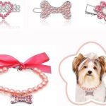 Collier pour chien et accessoires pour poils de chiot, paquet de 4 colliers