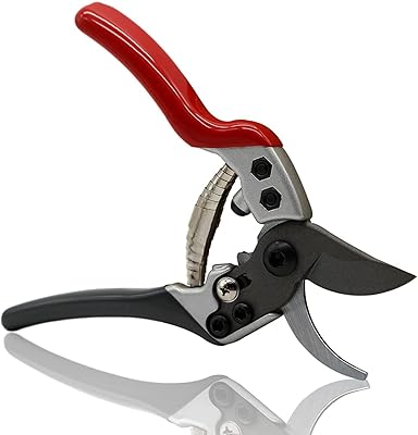 Sécateur d'outils de jardin avec lame tranchante en acier au carbone revêtu
