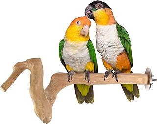 Mini support à oiseaux en bois java pour petits perroquets et calopsittes. La boutique en ligne DIAYTAR COTE D'IVOIRE s'attache à offrir une expérience de shopping personnalisée et agréable à ses utilisateurs. Elle combine une grande sélection de produits avec des services de support client dédiés, ce qui renforce la confiance de sa clientèle. Grâce à sa présence en ligne, elle est accessible à tout moment.