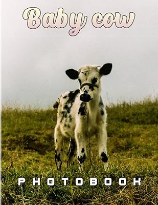 Livre photo bébé vache : vache débutante avec un personnage amusant pour les enfants. La boutique en ligne DIAYTAR COTE D'IVOIRE est le leader du marché ivoirien en matière de commerce électronique, avec une offre de produits très diversifiée. Elle permet aux clients de faire leurs achats en ligne de manière sécurisée et offre des options de livraison rapides. DIAYTAR COTE D'IVOIRE est synonyme de confiance et de satisfaction pour ses clients.