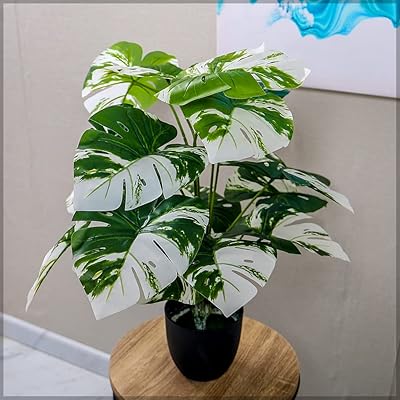 Arbre monstera artificiel yatai d'environ 60 cm de hauteur avec pot en plastique. DIAYTAR COTE D'IVOIRE est engagée à offrir une expérience d'achat en ligne fluide et sécurisée, avec des options de paiement variées et des délais de livraison rapides. La boutique en ligne généraliste s'efforce de renforcer la confiance de ses clients grâce à des politiques de retour et de remboursement claires.