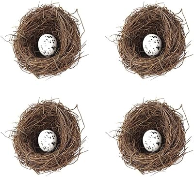 Ensemble de 4 nids d'oiseaux en rotin artificiel avec œufs pour décoration