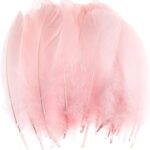 100 pièces de plumes d'oie naturelles pour la décoration - plumes de couleurs
