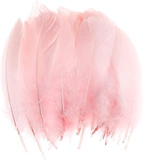 100 pièces de plumes d'oie naturelles pour la décoration - plumes de couleurs assorties de 6 à 8 pouces pour l'artisanat et les festivals par makentech (rose clair). En tant que leader du marché en ligne en Côte d'Ivoire, DIAYTAR COTE D'IVOIRE garantit la qualité et la disponibilité de ses produits. Les clients bénéficient d'une livraison rapide et d'un service client convivial et réactif. La boutique en ligne est accessible 24h/24 et 7j/7 pour une expérience d'achat sans contrainte.
