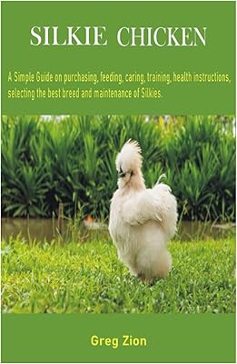 Poulet silkie : un guide simple sur l'achat, l'alimentation, les soins, le dressage