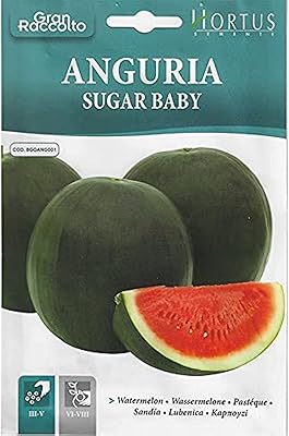 Graines de pastèque hortus de haute qualité (angoria sugar baby) (fabriquées en italie)