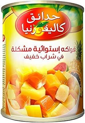 Mélange de fruits tropicaux california gardens au sirop léger, 565 g
