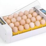 Incubateur d'œufs automatique intelligent tom shine, contrôle de la température de 24 œufs