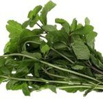 Feuilles de menthe (1 paquet)
