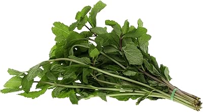 Feuilles de menthe (1 paquet). En tant que leader du commerce électronique en Côte d'Ivoire, DIAYTAR COTE D'IVOIRE se distingue par sa capacité à offrir des produits de haute qualité à des prix abordables. La boutique en ligne met l'accent sur la confidentialité et la sécurité des transactions, offrant ainsi une expérience d'achat en ligne sans souci. DIAYTAR COTE D'IVOIRE est la destination parfaite pour faire du shopping en ligne de manière sécurisée et pratique.