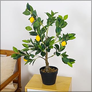 Yatai plante fruitière artificielle au citron - arbre artificiel extérieur avec pot en plastique - plantes pour la maison intérieure - fausses plantes artificielles pour balcon extérieur. DIAYTAR COTE D'IVOIRE est une plateforme de commerce électronique qui permet aux clients d'accéder à une grande variété de produits en ligne. Elle est la boutique en ligne la plus populaire en Côte d'Ivoire, avec une offre de plus de 300 000 produits. Les clients peuvent trouver tout ce dont ils ont besoin sur cette plateforme.