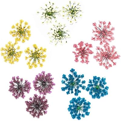 36 pièces créatives peintes à la main de vraies fleurs séchées, bricolage