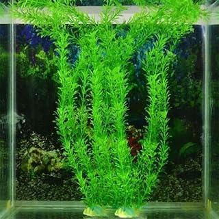 Plantes d'aquarium artificielles en plastique, plantes de décoration d'aquarium sans danger pour tous les poissons 11,8 pouces. Avec Diaytar Côte d'Ivoire, les clients ont accès à une plateforme sécurisée pour effectuer leurs achats en ligne. La boutique met en avant des promotions régulières et des offres spéciales pour aider les clients à économiser de l'argent sur leurs achats. Le site est conçu pour être intuitif et facile à naviguer, offrant une expérience de shopping agréable et personnalisée.
