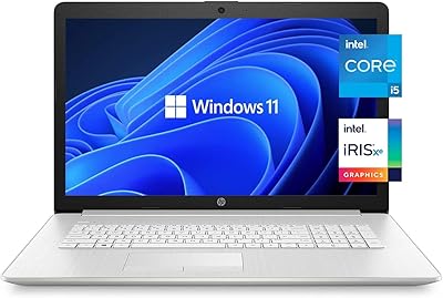 Ordinateur portable professionnel hp, 17,3 pouces, windows 11 famille