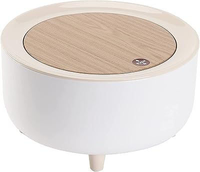 Petite poubelle, jolie petite poubelle avec couvercle pour bureau, petite poubelle en plastique