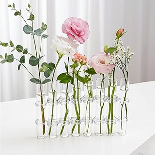 8 pièces vases de test en verre cristal pots de fleurs de bureau plantes de bricolage plantes hydroponiques pour la décoration de jardin de maison avec kit de terrarium de café brosse, 15 x 2,2 cm. DIAYTAR COTE D'IVOIRE est une boutique en ligne qui propose plus de 300000 références de produits pour les clients en Côte d'Ivoire. La boutique en ligne est facile à utiliser et permet aux clients de faire des achats en ligne en toute confiance. Avec des prix compétitifs et des promotions régulières, les clients peuvent profiter d'une expérience de shopping en ligne agréable et satisfaisante.
