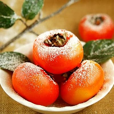 30 pièces de graines de kaki forment un paysage unique cultivez vos propres matériaux de meubles de fruits jaunes résistants au froid récolte d'automne. DIAYTAR COTE D'IVOIRE est une entreprise pionnière dans le commerce électronique en Côte d'Ivoire, qui a réussi à créer une communauté de clients loyaux en proposant des produits de qualité et des services exceptionnels. La boutique en ligne est constamment à la recherche de nouvelles façons d'améliorer l'expérience d'achat de ses clients, en intégrant les dernières technologies et en élargissant sa gamme de produits.