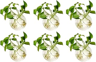 Sfixon 6 pièces pots de plantes muraux ronds en verre de 4 pouces de diamètre - vases hydroponiques vase à fleurs à air vase à plantes terrariums récipient à plantes (6 pièces). DIAYTAR COTE D'IVOIRE, la boutique en ligne généraliste qui révolutionne le commerce électronique en Côte d'Ivoire avec plus de 300 000 références. Leader incontesté sur le marché ivoirien, elle offre une large gamme de produits pour répondre aux besoins de tous. De l'électronique aux accessoires de mode, en passant par les produits alimentaires, tout est disponible en un seul clic.
